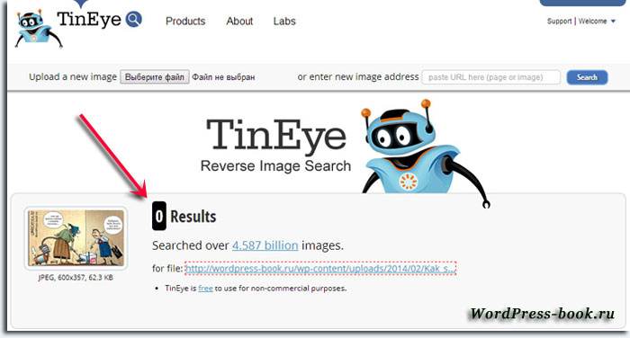 Tineye поиск по фотографии